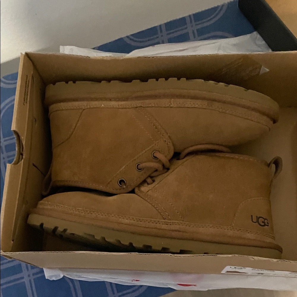 UGG Chestnut Ankle Boots